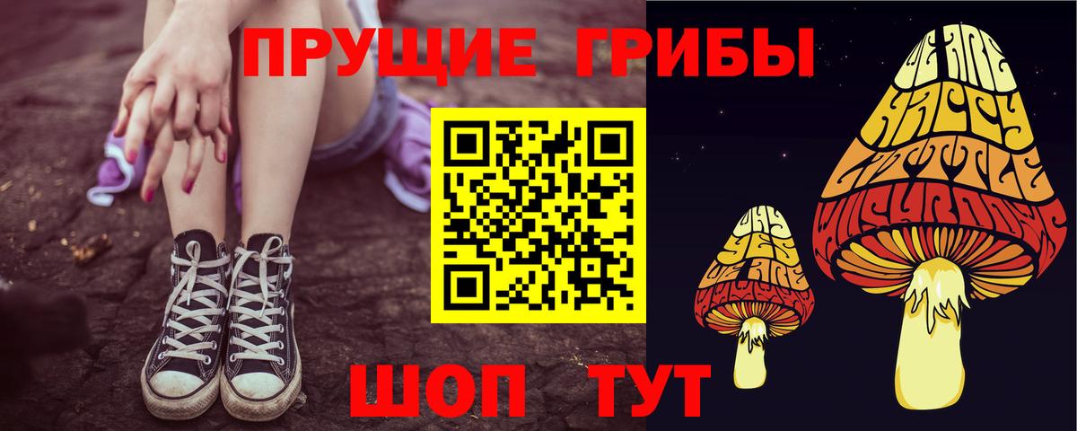 Псилоцибиновые грибы ЛСД  дарнет шоп  Среднеуральск  Псилоцибиновые грибы Cubensis  Вход с VPN 